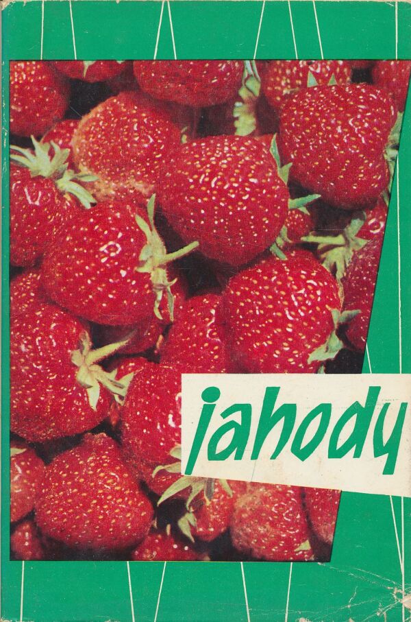 Ján Šimánek: Jahody