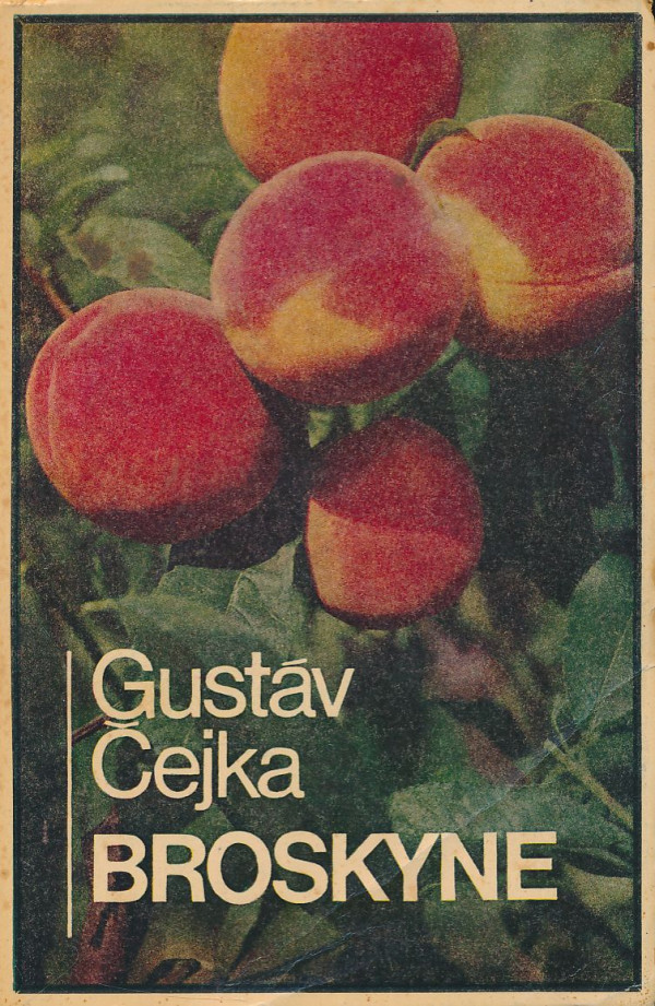 Gustáv Čejka: