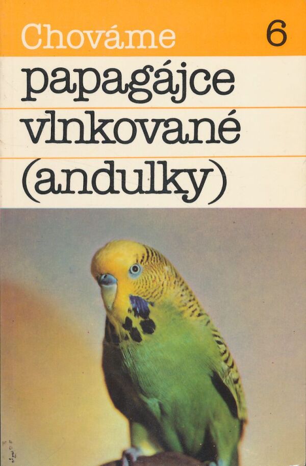 B. Ambruš: