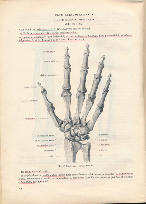 L. Borovanský a kol.: SOUSTAVNÁ ANATOMIE ČLOVĚKA I