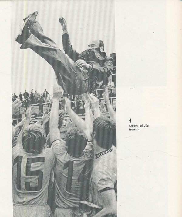 Jaroslav Matějka, Jaroslav Vejvoda: JAK TO VIDĚL VEJVODA