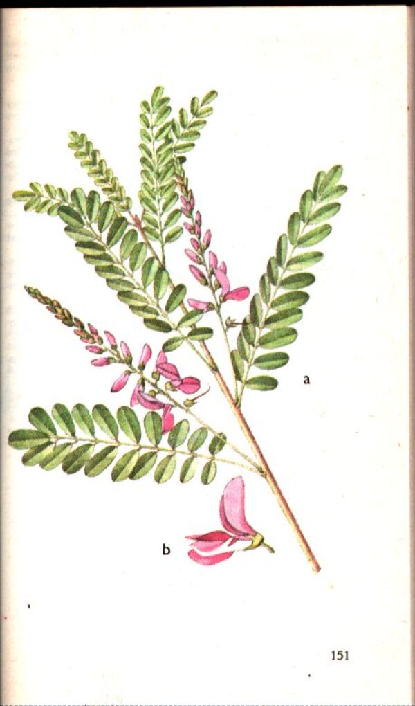 J. Mladá, F. Procházka: ATLAS CIZOKRAJNÝCH ROSTLIN