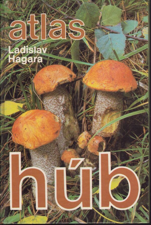 Ladislav Hagara: