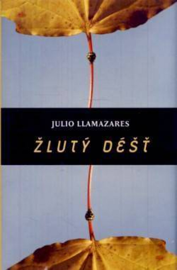 Julio Llamazares: ŽLUTÝ DÉŠŤ