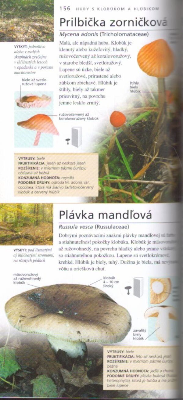 Shelley Evans, Geoffrey Kibby: HUBY - PRÍRODA DO VRECKA