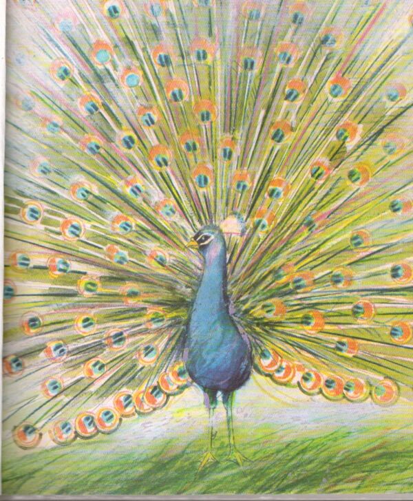 Eleonóra Gašparová: BOSÉ NÔŽKY