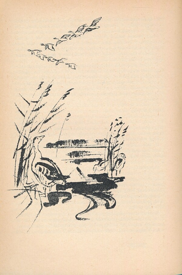 Jaromír Javůrek: HALALI