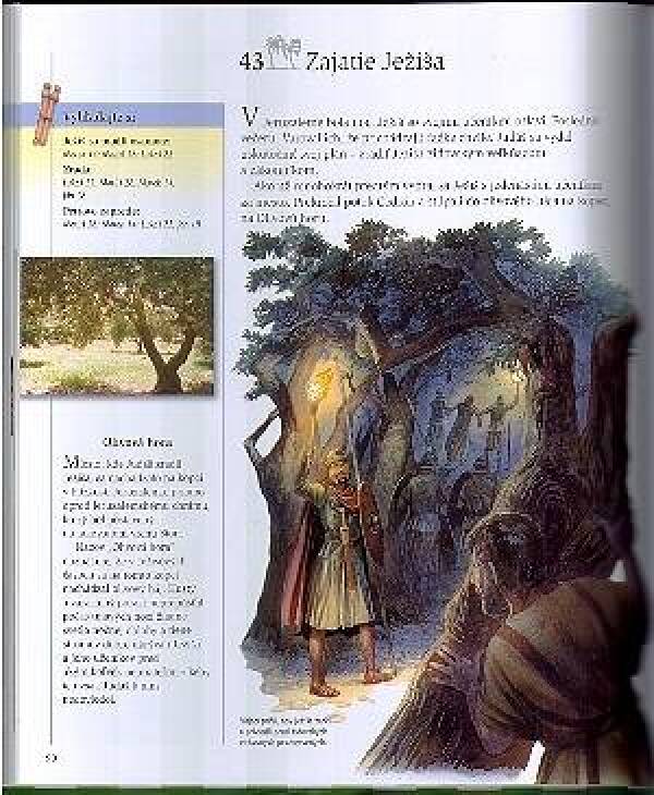 Lois Rocková: JEŽIŠ - ENCYKLOPÉDIA