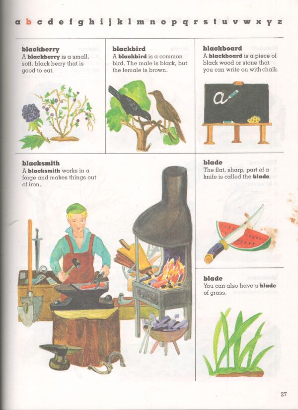 CHILDREN`S FIRST DICTIONARY