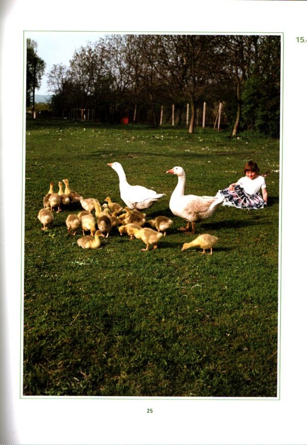 Andrej Chudoba, Milan Hlôška: OD TEKOVA VIETOR VEJE