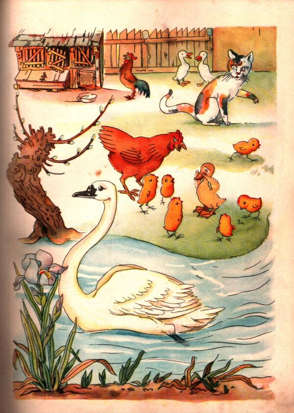 Hans Christian Andersen: RAJSKÁ ZÁHRADA A INÉ ROZPRÁVKY