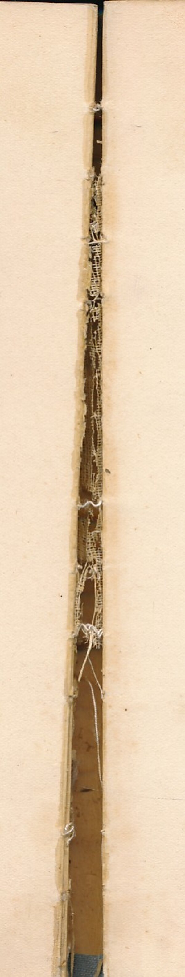 Viera Vidová: ROZPRÁVKY O ZVIERATKÁCH