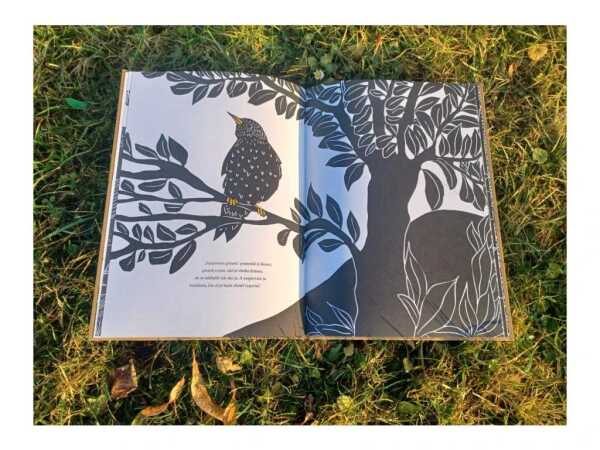 Octavie Wolters: PIESEŇ ŠKORCA