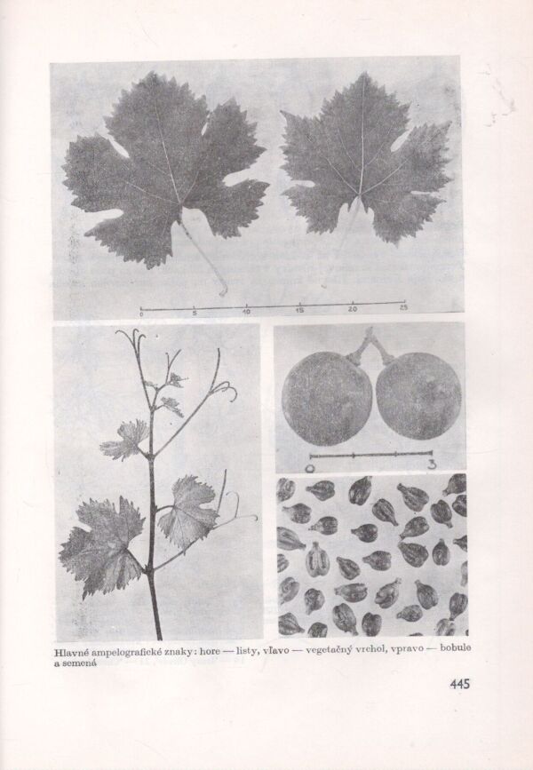 V. Pevná a kol.: ZÁHRADNÍCTVO