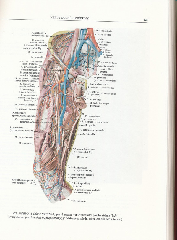 R.D. Sinělnikov: ATLAS ANATOMIE ČLOVĚKA I-III