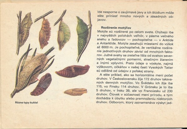 Ilja Okáli, Ján Švec: NAŠE MOTÝLE