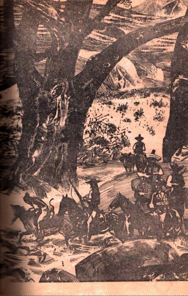 David Hamilton: BUFFALO BILL A ZLATO ELDORÁDA