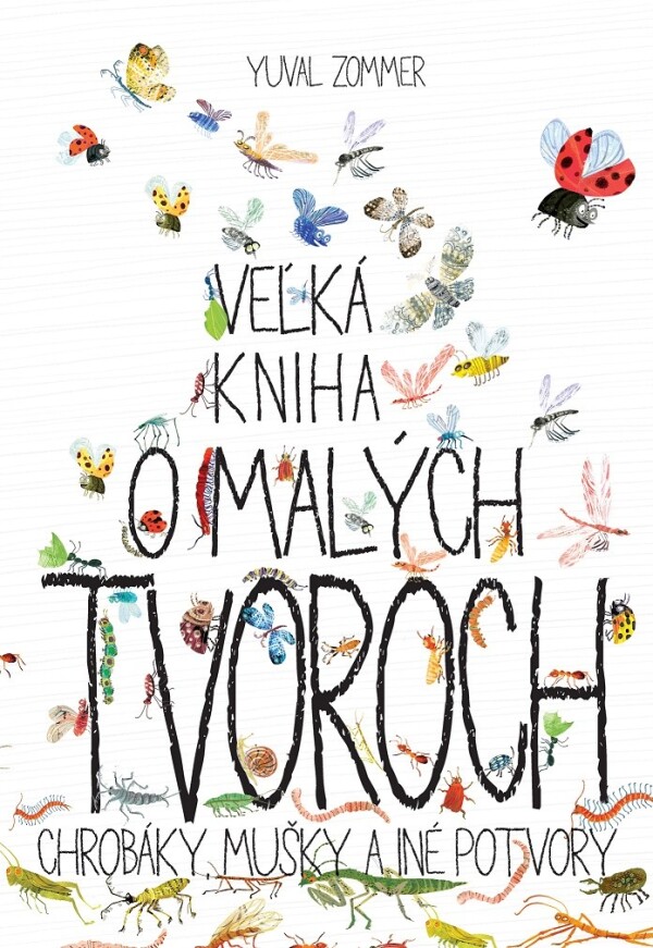 Yuval Zommer: