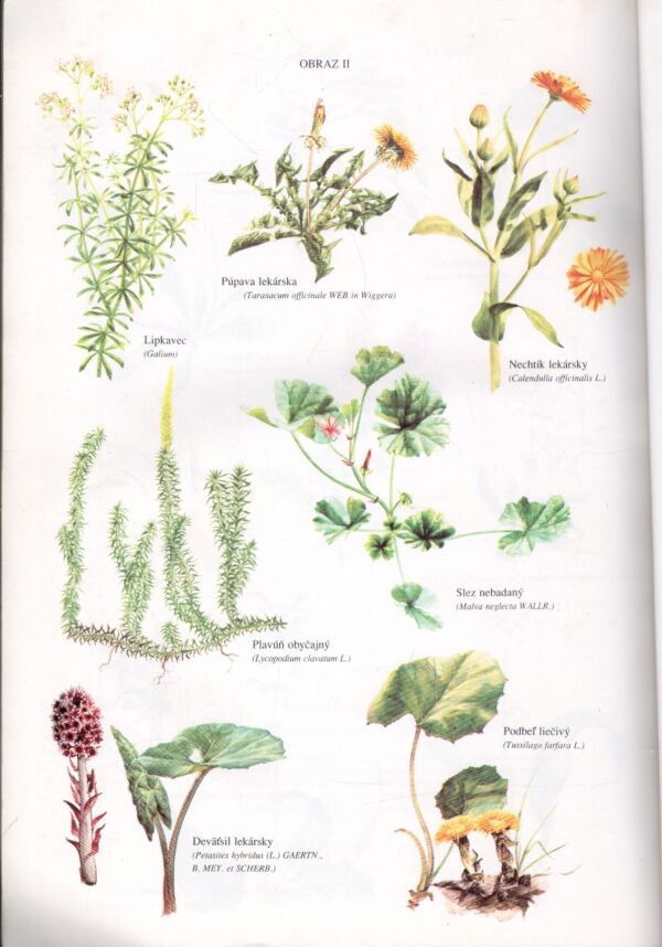 Maria Trebenová: ZDRAVIE Z BOŽEJ LEKÁRNE