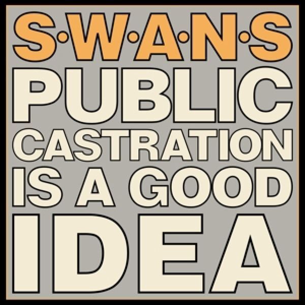 Swans: 