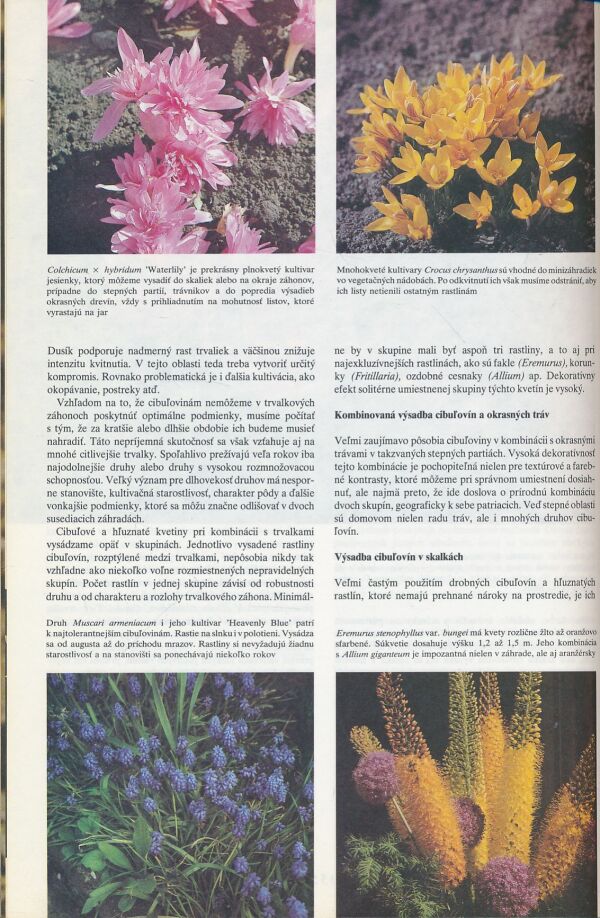 Čestmír Böhm: Záhradkárska encyklopédia