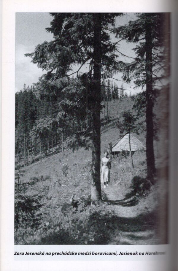 Ján Rozner: SEDEM DNÍ DO POHREBU