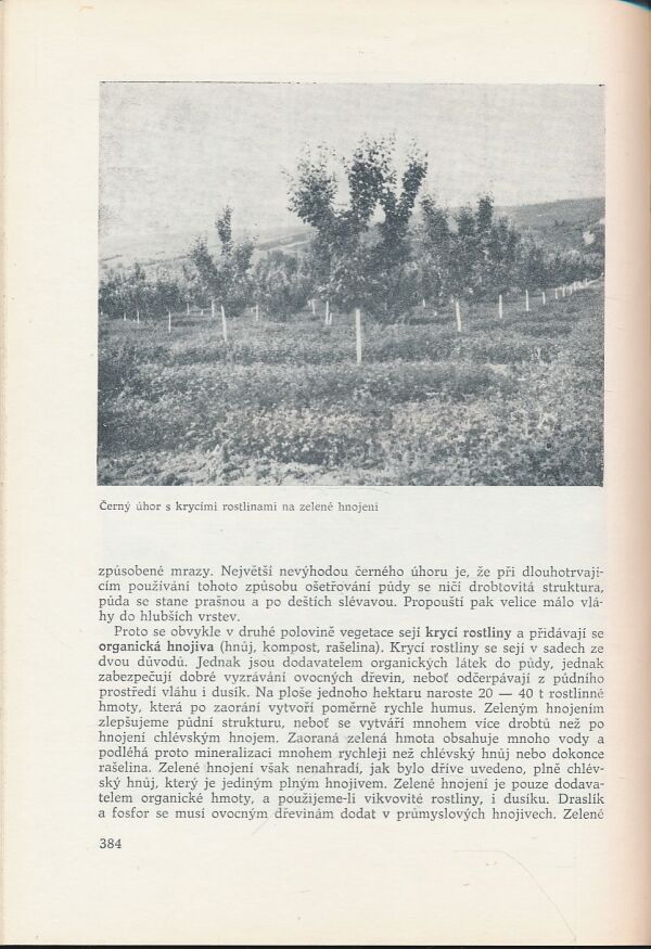 V. Pevná: Záhradníctvo