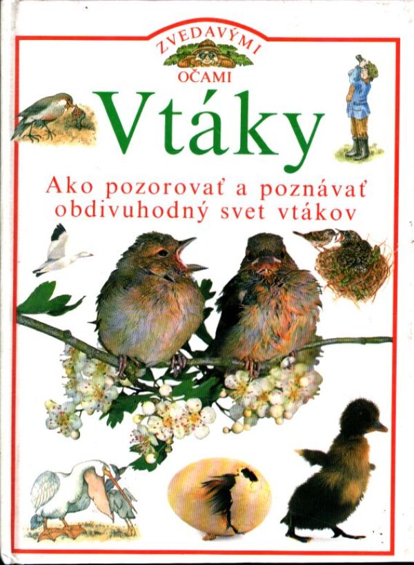Jill Bailey, David Burnie: VTÁKY - ZVEDAVÝMI OČAMI