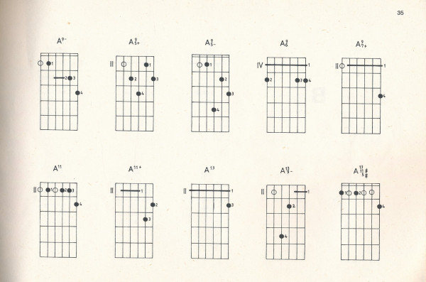 Jozef Zsapka: GITAROVÉ AKORDY A ZNAČKY PRE SAMOUKOV