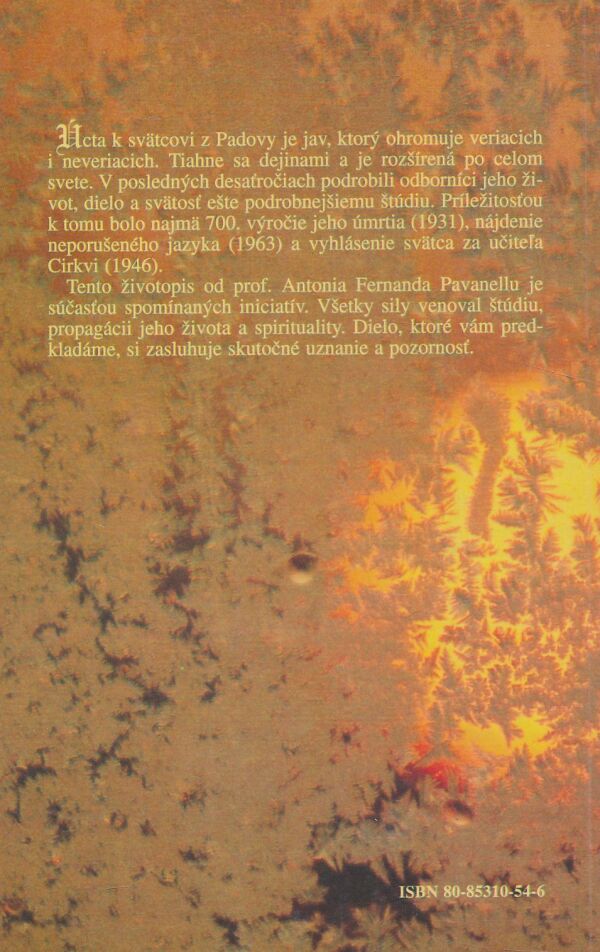 A.Fernando Pavannello: Kazateľ milosti