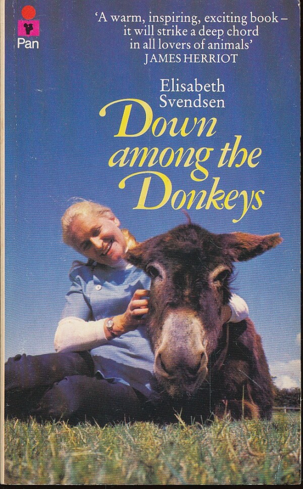 Elisabeth Svendsen: DOWN AMONG THE DONKEYS