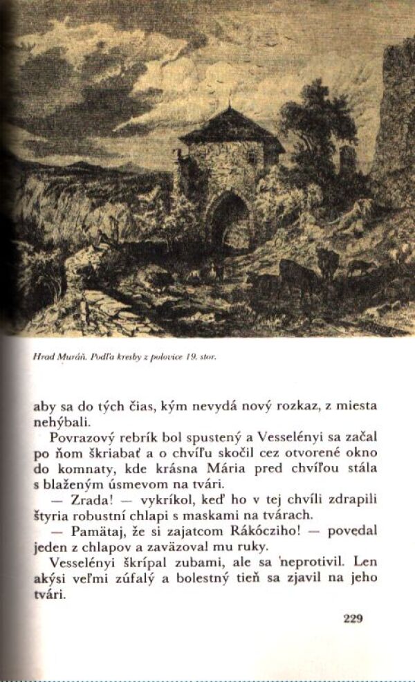 Ľudovít Janota: SLOVENSKÉ HRADY