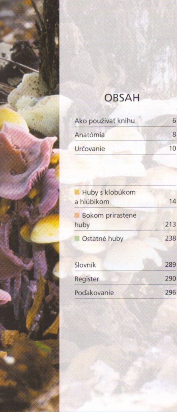 Shelley Evans, Geoffrey Kibby: HUBY - PRÍRODA DO VRECKA