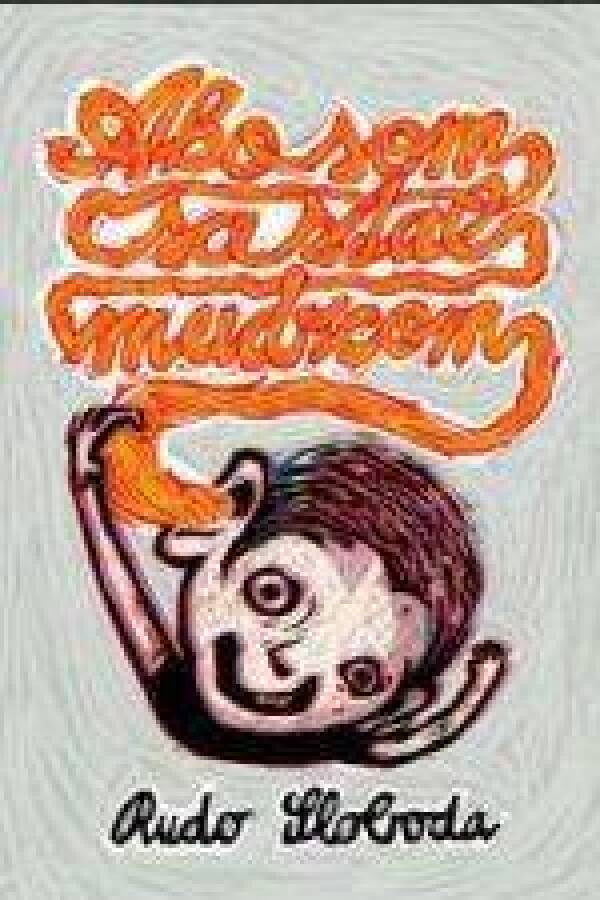 Rudo Sloboda: AKO SOM SA STAL MUDRCOM