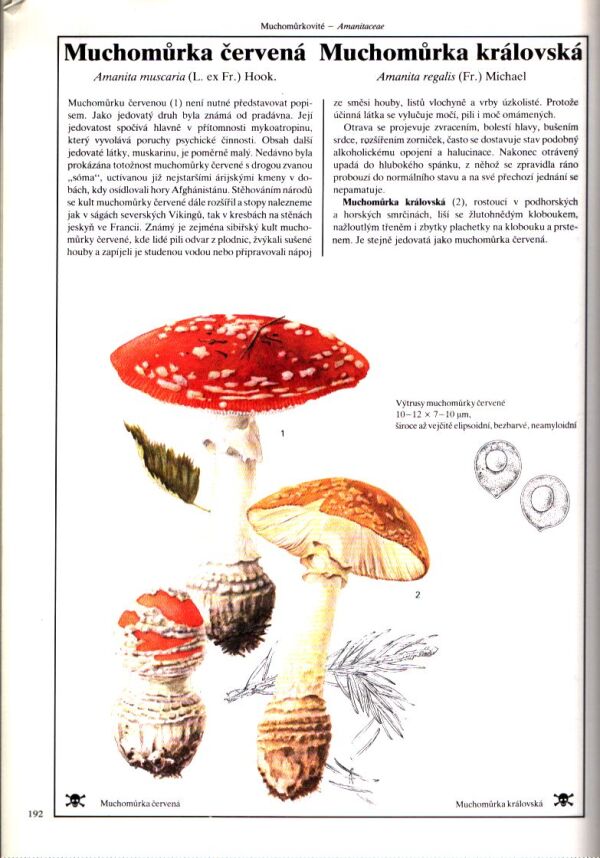 M. Svrček, B. Vančura: HOUBY