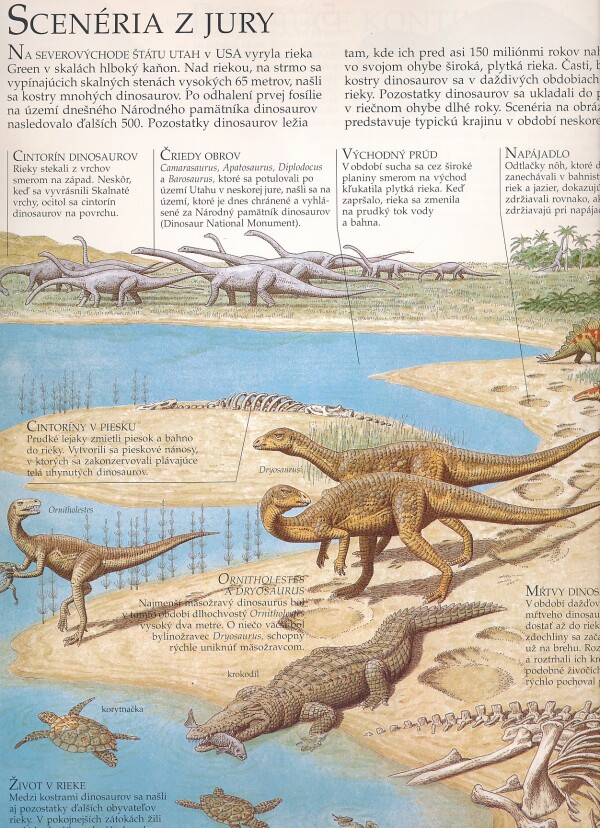 OBRAZOVÝ ATLAS DINOSAUROV