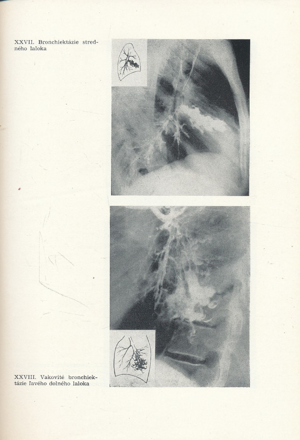 Mikuláš Ondrejička, spolupracovníci: VNÚTORNÉ CHOROBY 1