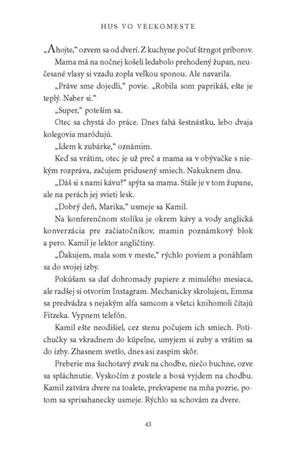 Katarína Mikolášová: HUS VO VEĽKOMESTE