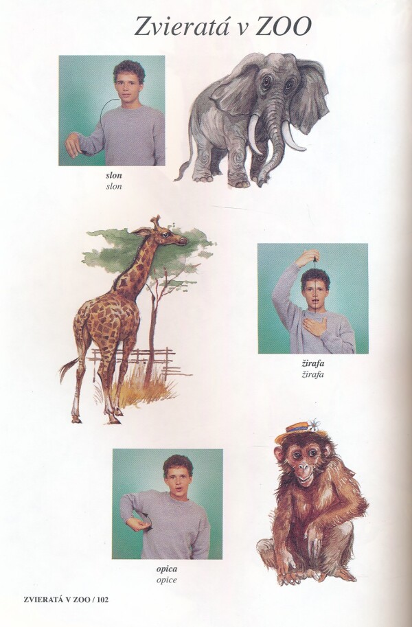 Štefan Csonka: SVET V POSUNKOCH