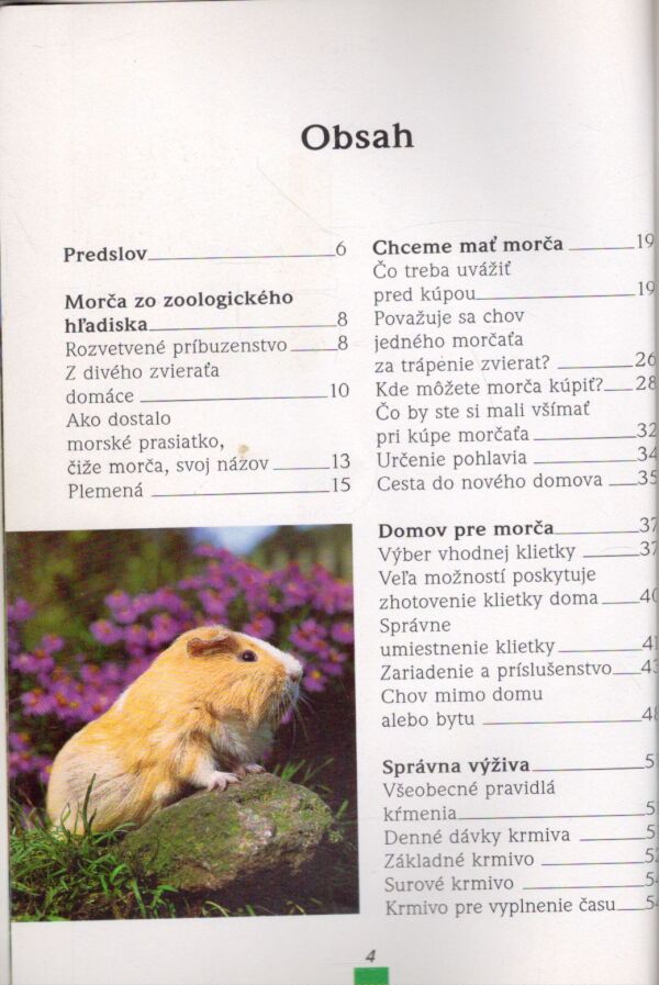 Michael Mettler: MORČATÁ