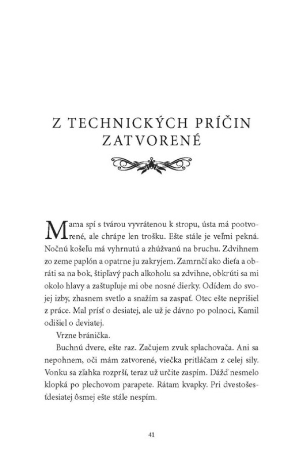 Katarína Mikolášová: HUS VO VEĽKOMESTE