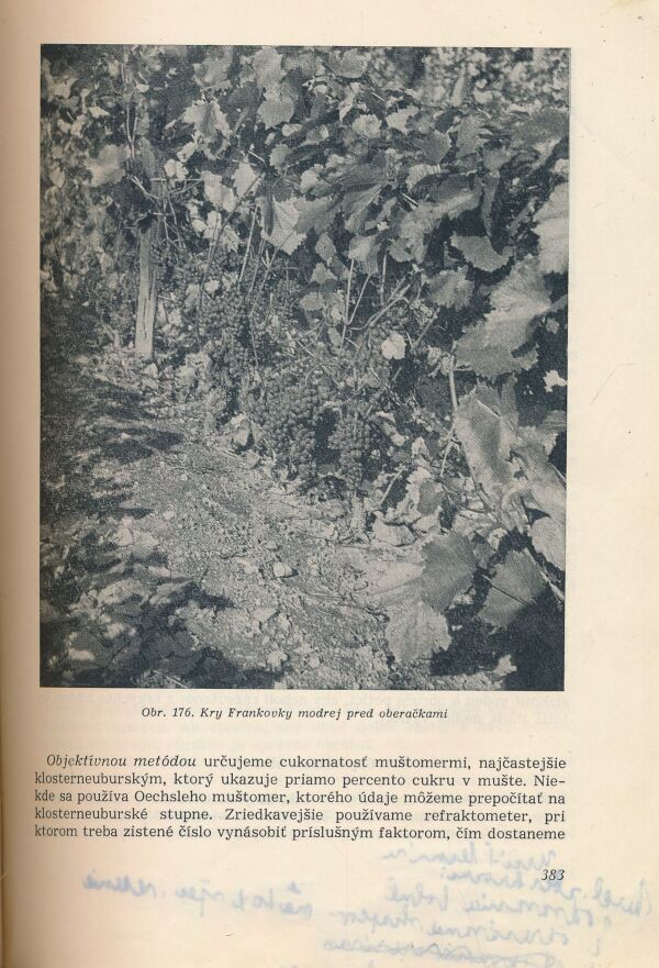 Vinohradníctvo 1962