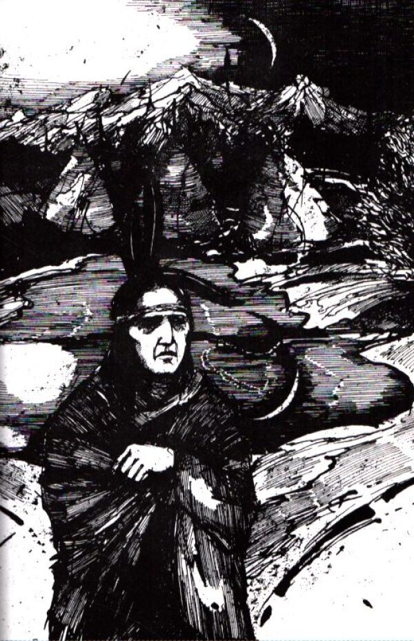 Liselotte Welskopfová-Henrichová: SYNOVIA VEĽKEJ MEDVEDICE I.