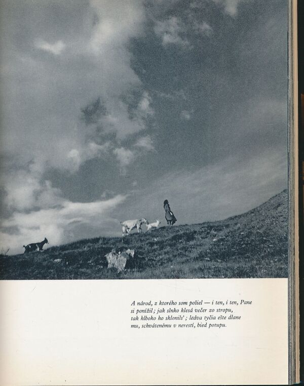 Karol Kállay: Mne Slovensko krása je