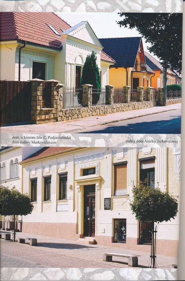 NOVÉ MESTO NAD VÁHOM VO FOTOGRAFII