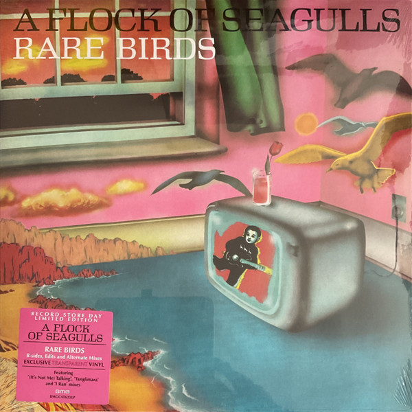 A Flock of Seagulls: RARE BIRDS - LP
