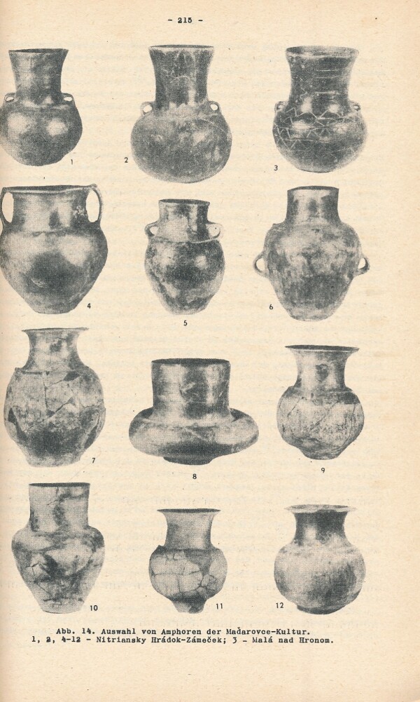 autorov Kolektív: ŠTUDIJNÉ ZVESTI 12