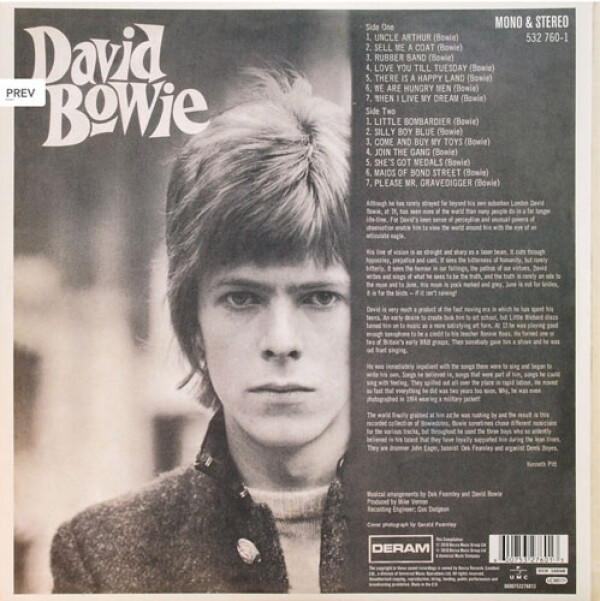 David Bowie: DAVID BOWIE - 2 LP