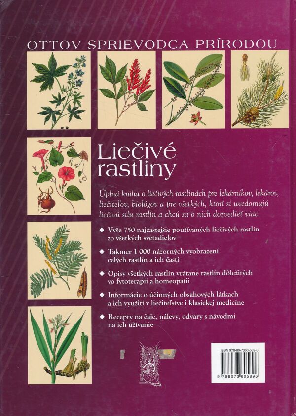 LIEČIVÉ RASTLINY