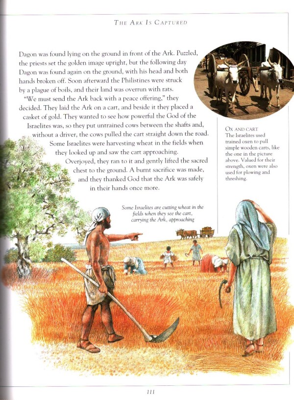 Selena Hastings: THE ILLUSTRATED JEWISH BIBLE FOR CHILDREN